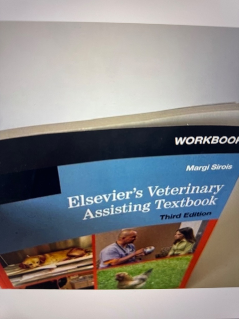 Workbook Elsevier's Veterinary Assisting Textbook - Picture 7 of 8